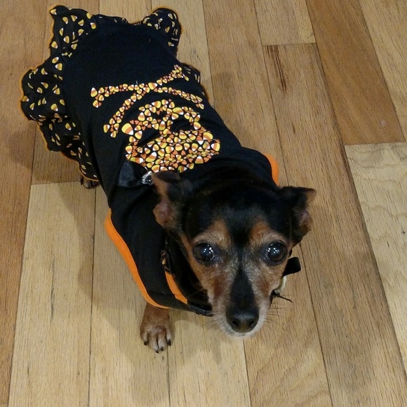 Meet your Posher, Marla - Picture 6 of 11